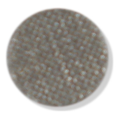 image_ecfb710f-cd19-4623-ac4b-61d383fe4d80